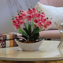 Arranjo de Orquídea Artificial Decorativa com Vaso e Casca Polida Planta Elegante