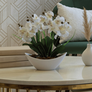 Arranjo de Orquídea Artificial Decorativa com Vaso e Casca Polida Planta Elegante