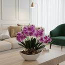Arranjo de Orquídea Artificial Decorativa com Vaso e Casca Polida Planta Elegante