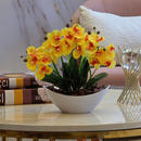 Arranjo de Orquídea Artificial Decorativa com Vaso e Casca Polida Planta Elegante